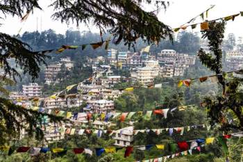 2 Night - 3 Days Dharamshala Tour From Chandigarh