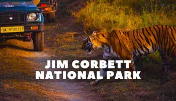 Mountain Trails (3N Nainital + 2N Corbett + 2N Mussoorie)
