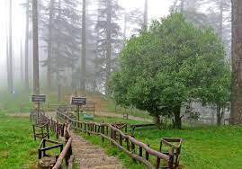 Dhanaulti Tour Packages
