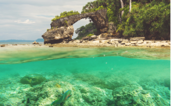 Andaman 6 Nights - 7 Days Tour