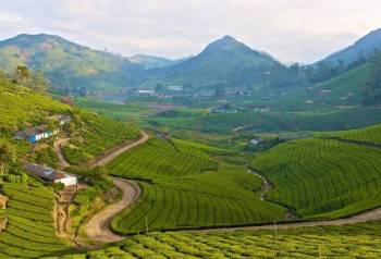 Theni Tour Packages