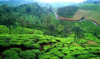 Misty Peaks Getaway Munnar Vagamon 3N 4D Tour
