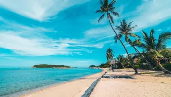 Island Of Andaman 4 Nights - 5 Days Tour