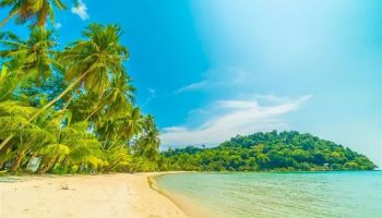 Village Royale Goa 3 Nights - 4 Days Tour