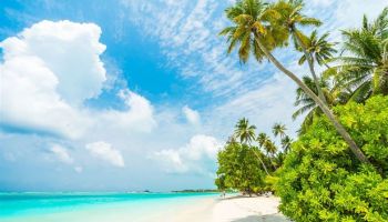 Candolim Hideout 3 Nights - 4 Days Tour