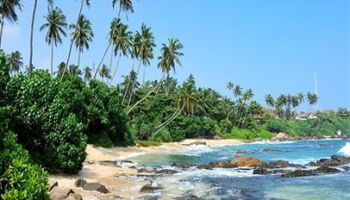 Spazio Leisure Resort 3 Nights - 4 Days Tour