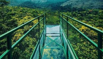 6 Days 5 Nights Kerala Tour Package