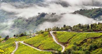 Gangtok Darjeeling Tour 4N/5D