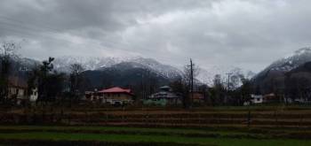 Palampur Tour Packages