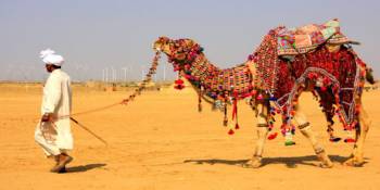 5 Nights 6 Days Jodhpur - Jaisalmer - Bikaner - Jaipur Tour