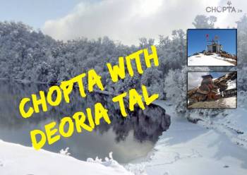 2 Nights 3 Day Every Friday Delhi To Chopta - Deoriataal