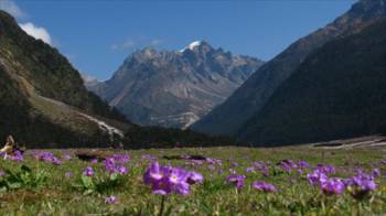 4 Nights 5 Days Gangtok Lachung Tour