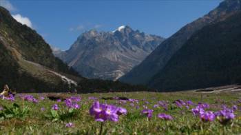 7 Nights 8 Days Gangtok Lachung and Pelling