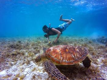 Havelock Tour Packages
