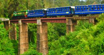 2 Nights - 3 Days Tour To Ooty