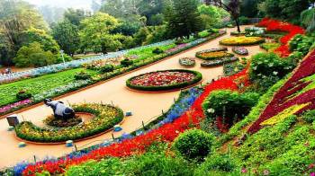 Heritage Mysore Ooty Tour Package 5 Days 4 Nights