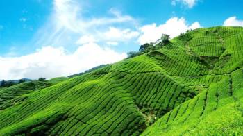 6 Nights & 7 Days Tour Package at Gods Own Country Kerala With Kodaikanal