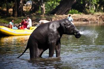 5 Nights and 6 Days Mysore Ooty Coorg Package