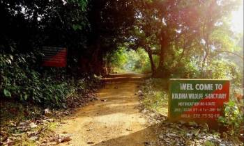 Routes to Odisha - Dublagadi, Balasore, Kuldiha Forest Tour