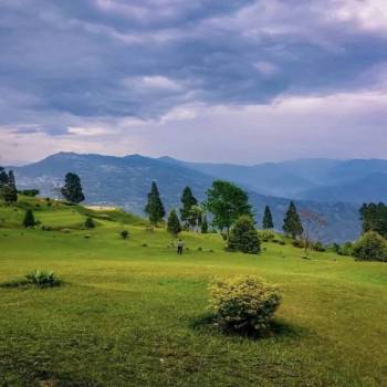 Darjeeling- Kalimpong- Gangtok 05night 06day tour package