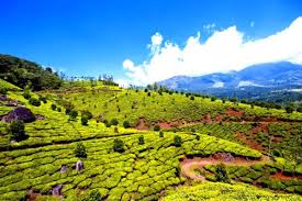 3 Night 4 Day Munnar Package