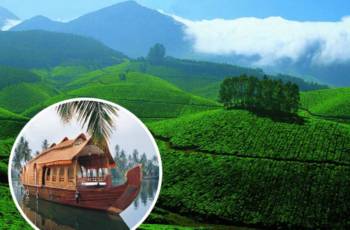 5 Nights Munnar - Alleppey - Kovalam Tour Ex - Cochin