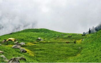 Kedartal Trek, Uttarakhand