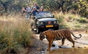 2 night 3 Days Sawai Madhopur To Ranthambore National Park