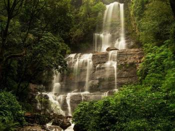 5 Days Sakleshpura - Sringeri - Agumbe - Chikmagalur Tour