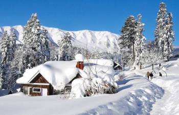 Kashmir Tour Package 04 Nights  05 Days