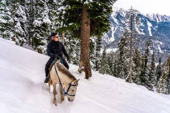 Kashmir Tour Package 04 Nights  05 Days