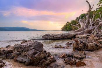 3N Andaman Tour | Port Blair, Havelock, Wandoor & Chidiyatapu Beach