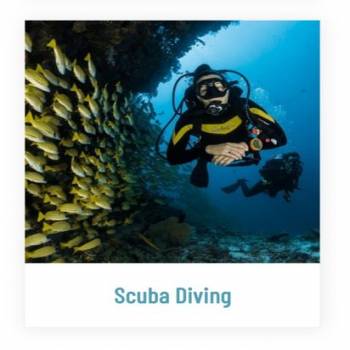 Scuba diving + Watersports, Goa