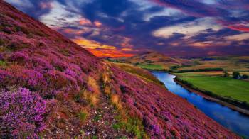 Valley of Flowers, Uttarakhand, 5 Days 4 Night
