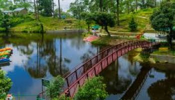 Jungle Safari 3Days - 2Night