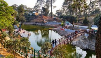 Jungle Safari 3Days - 2Night