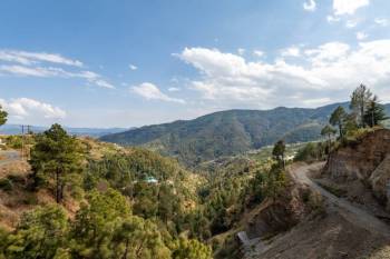 2 Nights 3 Days Chail Package