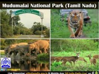Chamarajanagar Tour Packages