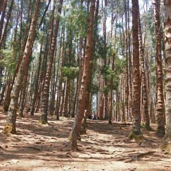 Chamarajanagar Tour Packages