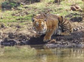 Chamarajanagar Tour Packages