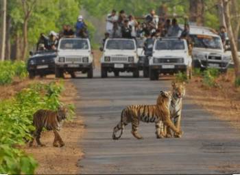 Chamarajanagar Tour Packages