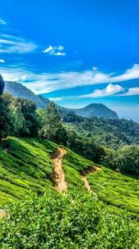 Ooty Tour 1 Day