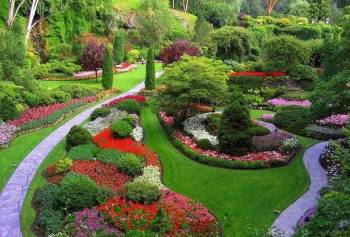 2 Days 1 Night Coimbatore to Ooty Package