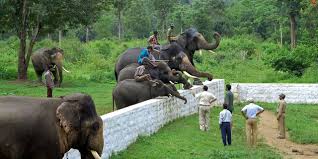 4 Days 3 Nights Ooty, Mysore, Coorg