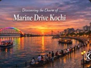 Kochi- Bioluminescience Kayaking/ Alleppy Tour