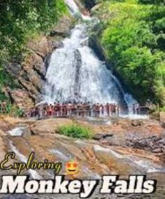 Valparai & Athirapally Week End Tour