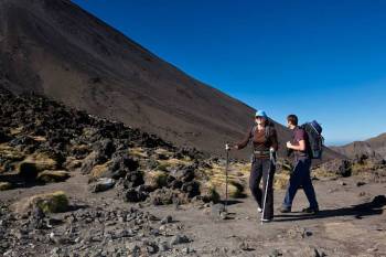 8-Day Lemosho Route Trekking