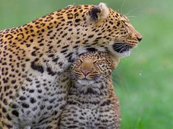 2-day Tanzania safari