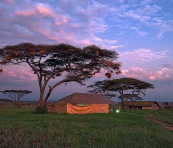 4 Days Tented Camp - Lodging Safari Tout