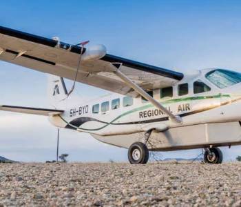 3-Day Fly In - Out Safari To Nyerere From Zanzibar